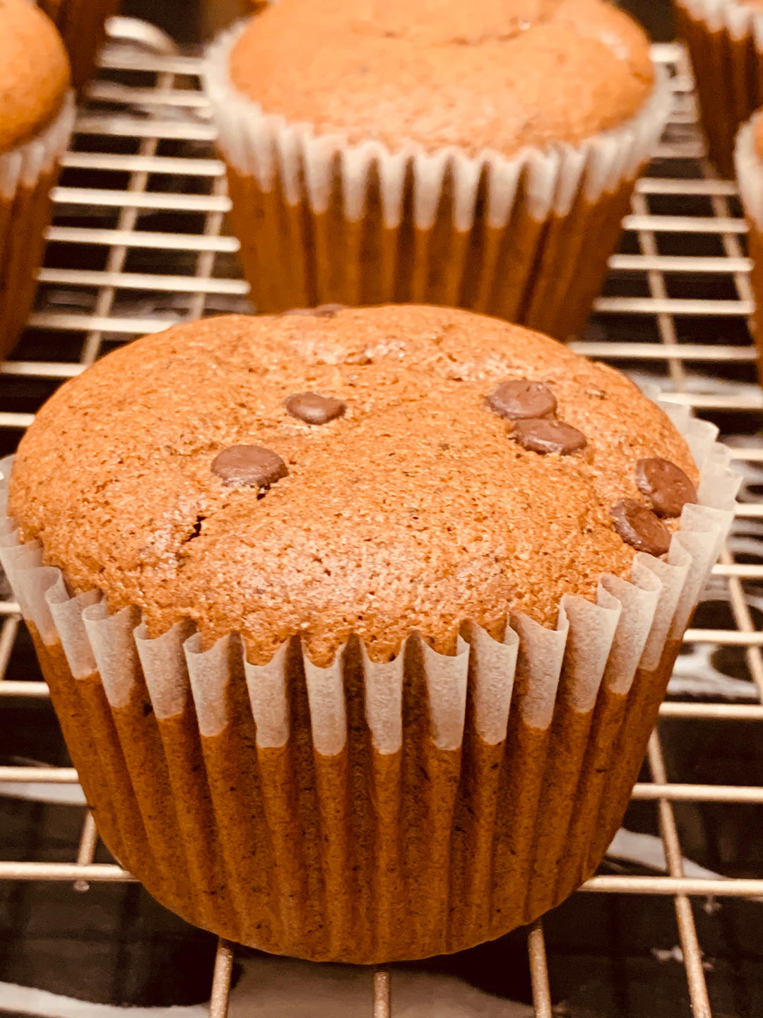可可巧克力Cupcake纸杯子海绵蛋糕（甜品台都用本方）C6