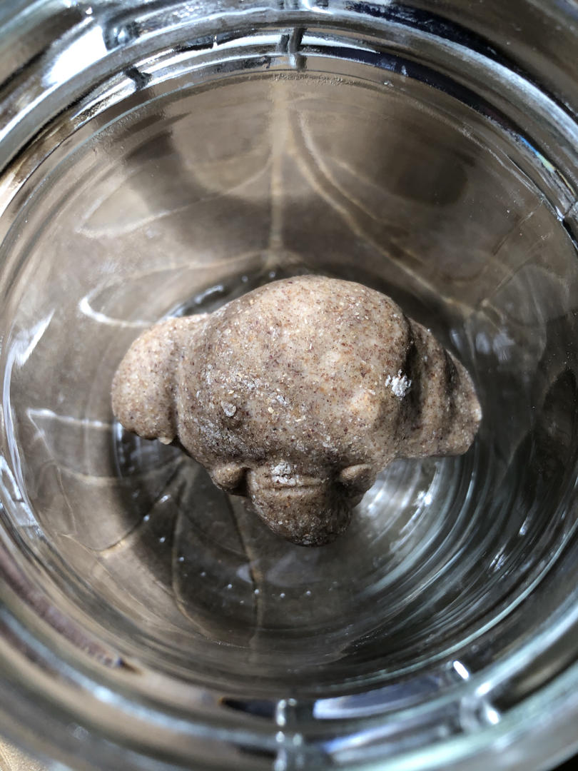 天然酵种长期保存方法 两种