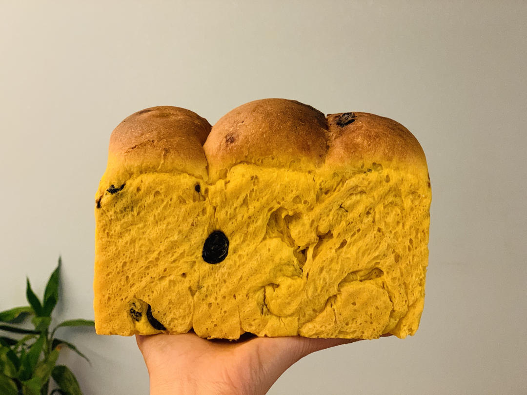 南瓜葡萄干吐司