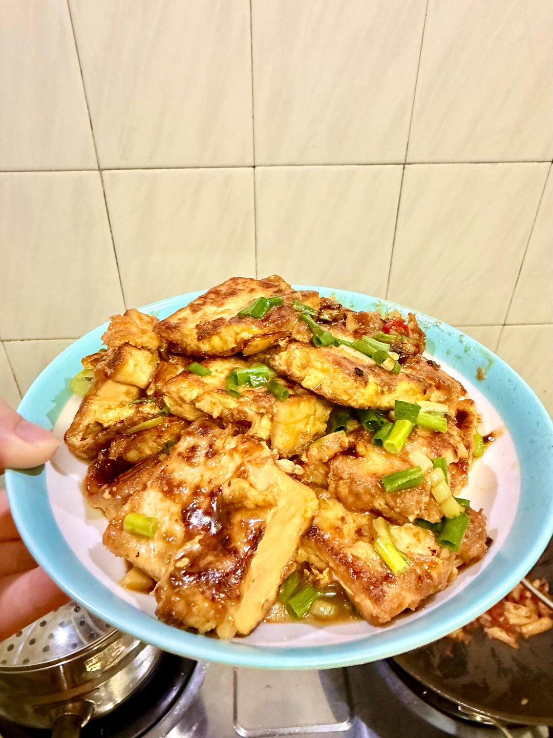 令人销魂的红烧家常豆腐