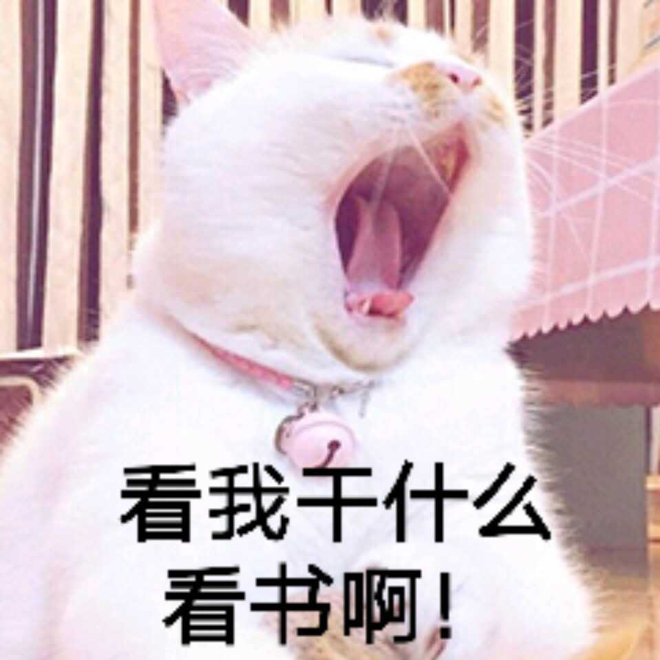 瑞瑞安OvO的厨房