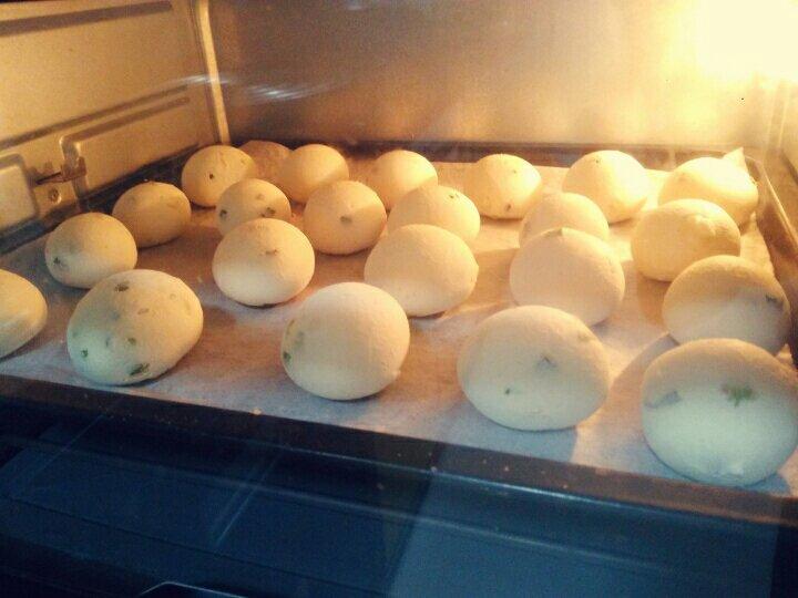 《Tinrry+》不回缩的Q弹麻薯包（恐龙蛋）