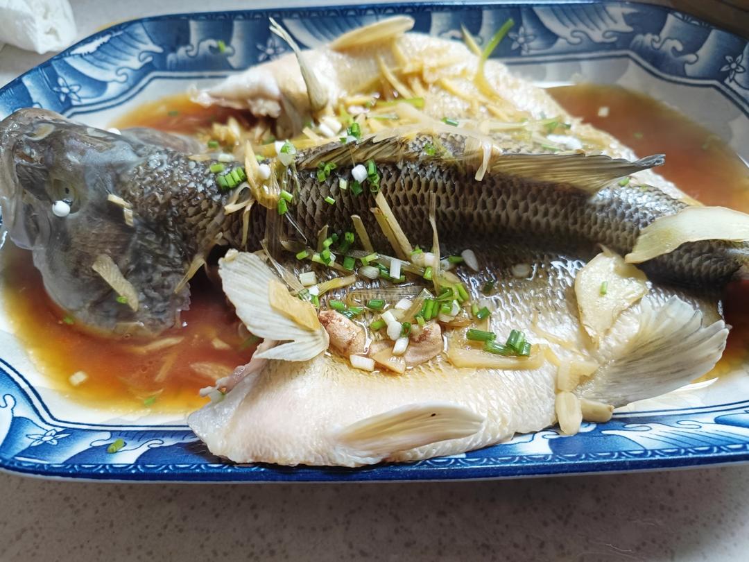 清蒸鲈鱼