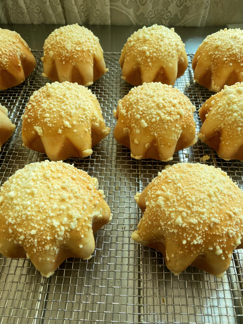 香橙卡士达星星包