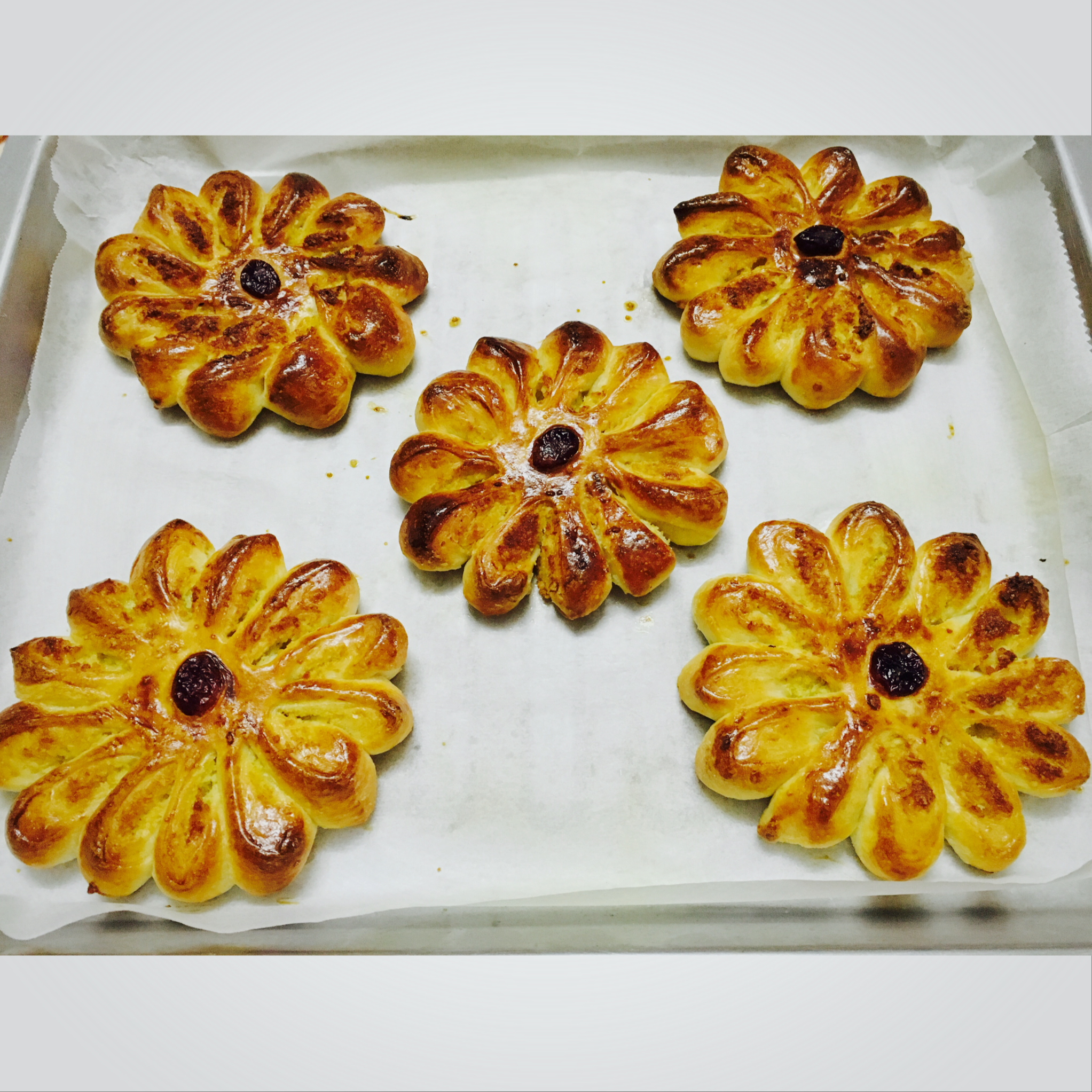 爱次肉的兔子做的花型椰蓉面包