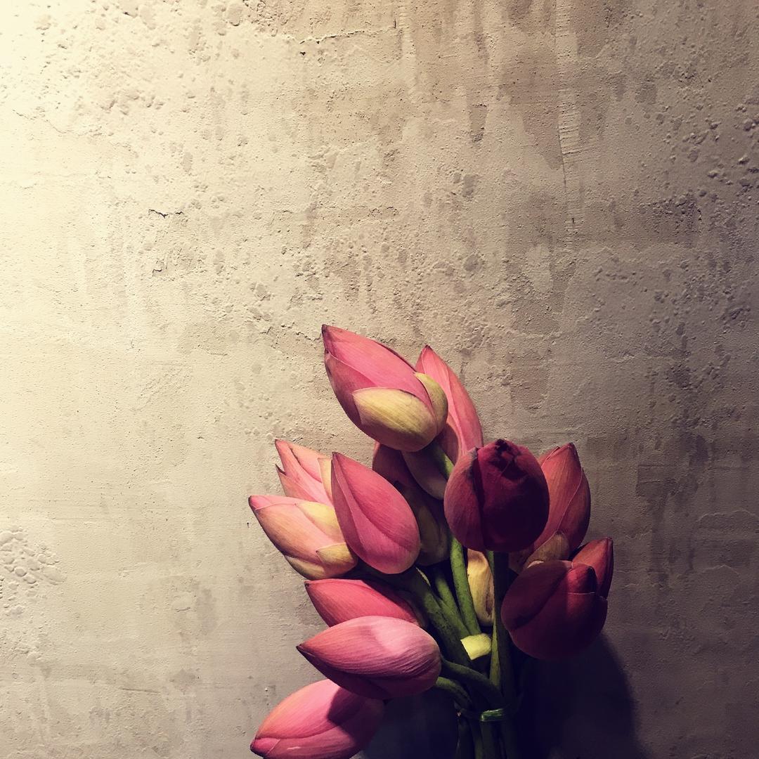 蓝皮鼠家的大猫咪