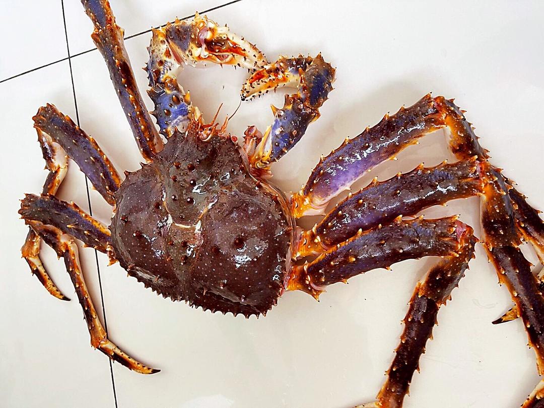 帝王蟹三吃-原汁原味