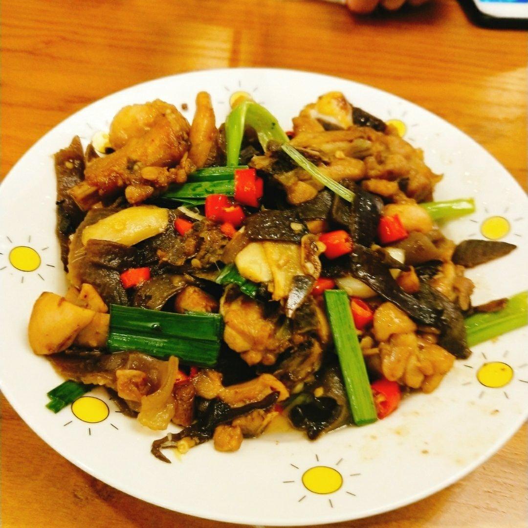 木耳炒鸡