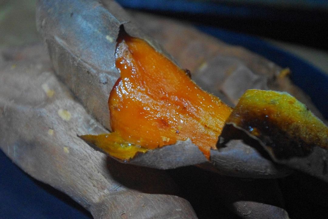 香甜软糯 烤红薯 | 北鼎烤箱版