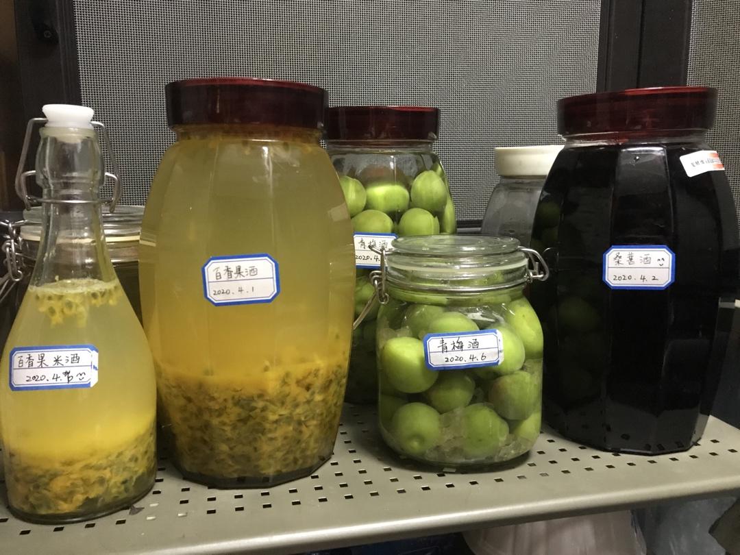 【青梅酒】梅子的沉醉时光（已填坑）