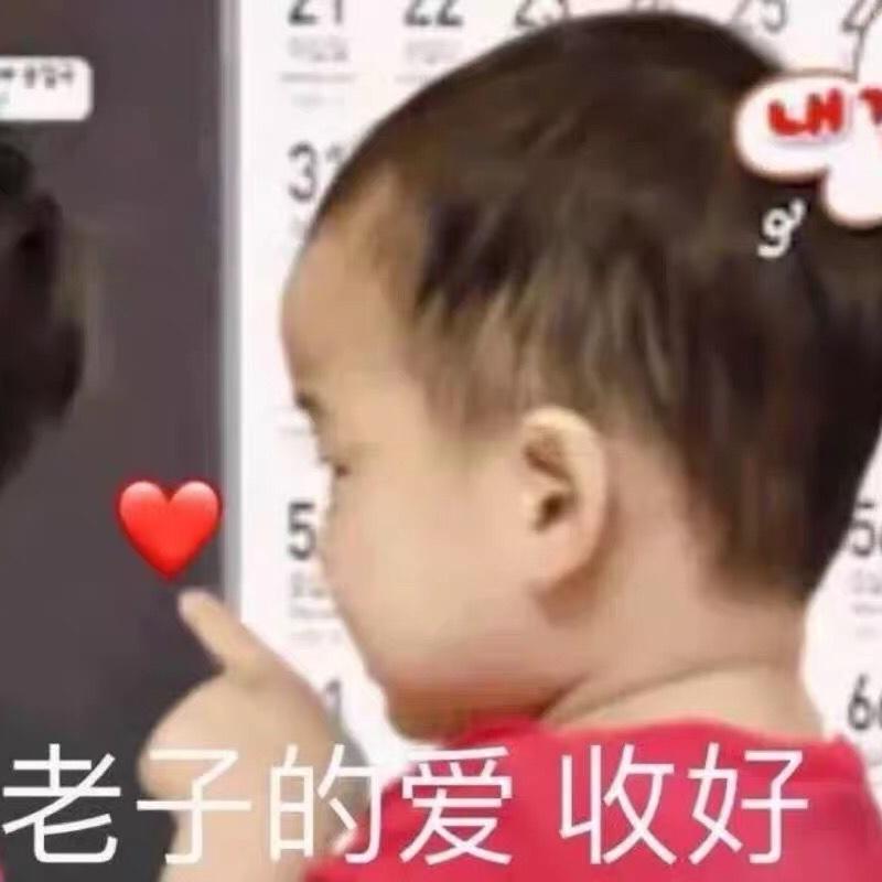 养胖哥的小仙女