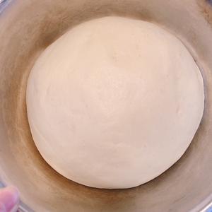 消耗淡奶油椰蓉小餐包的做法 步骤4