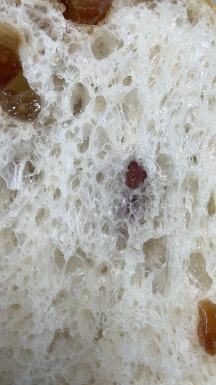 双重可可巧克力盐面包（低油糖，冷藏过夜水合法）