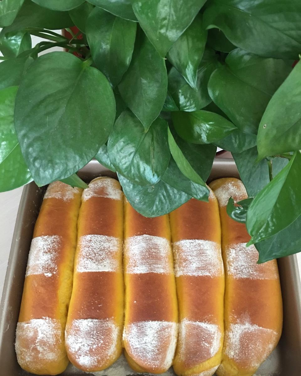 全麦南瓜排包