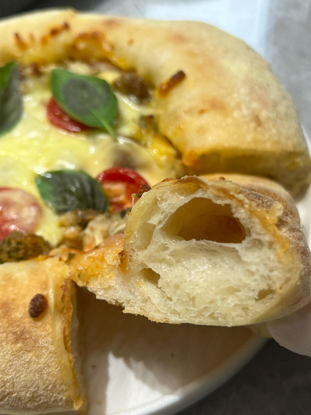 免揉面，隔夜发酵薄底大气孔意大利披萨🍕