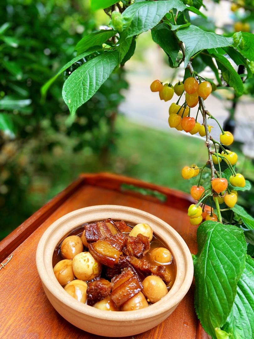 其实也不是很难的红烧肉烧蛋