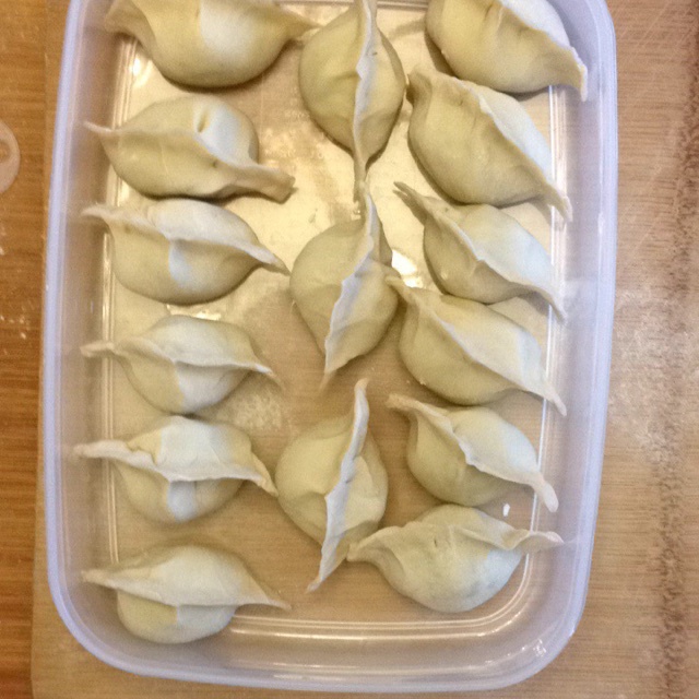 韭菜鲜肉馅饺子