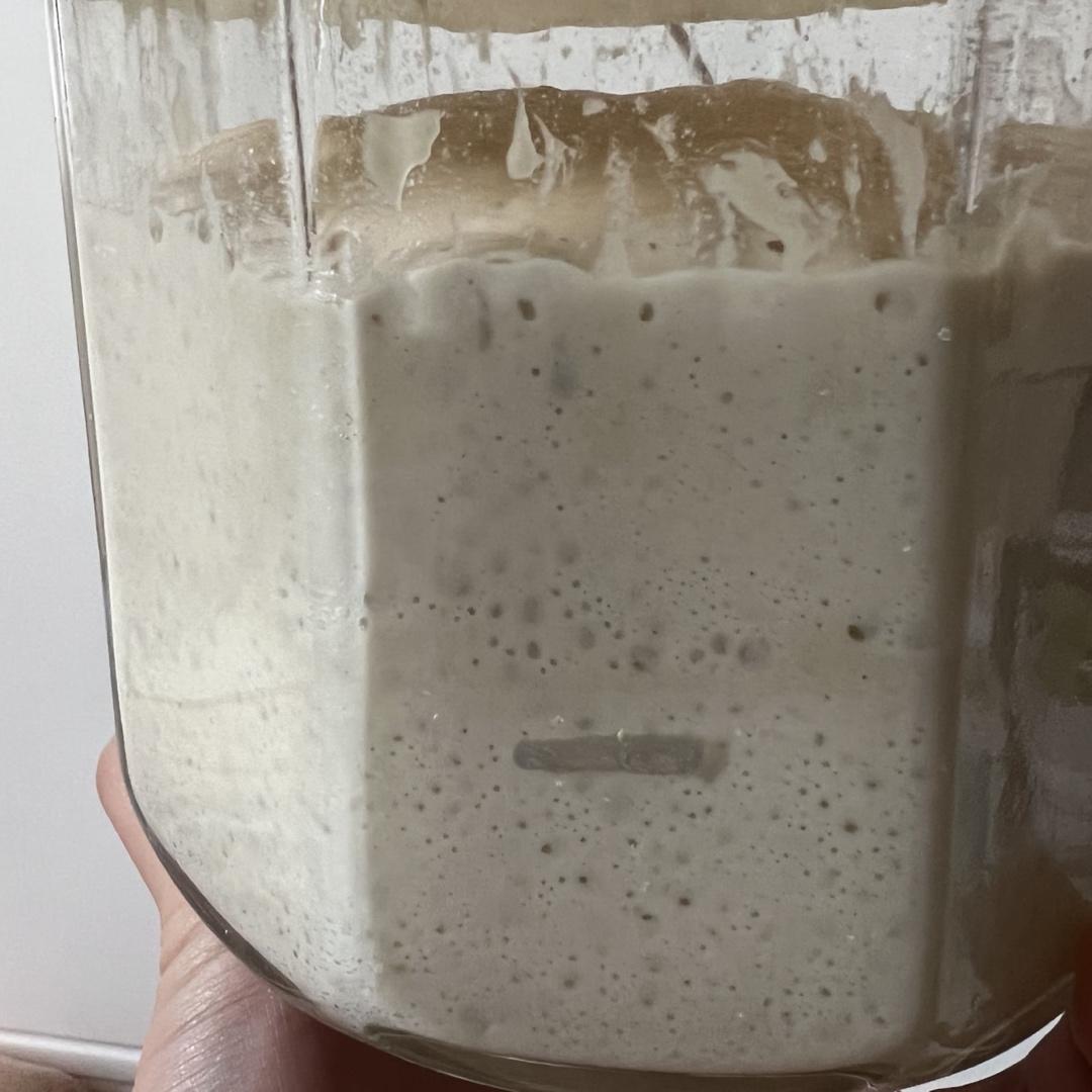 意大利水式酵母（Pasta Madre)