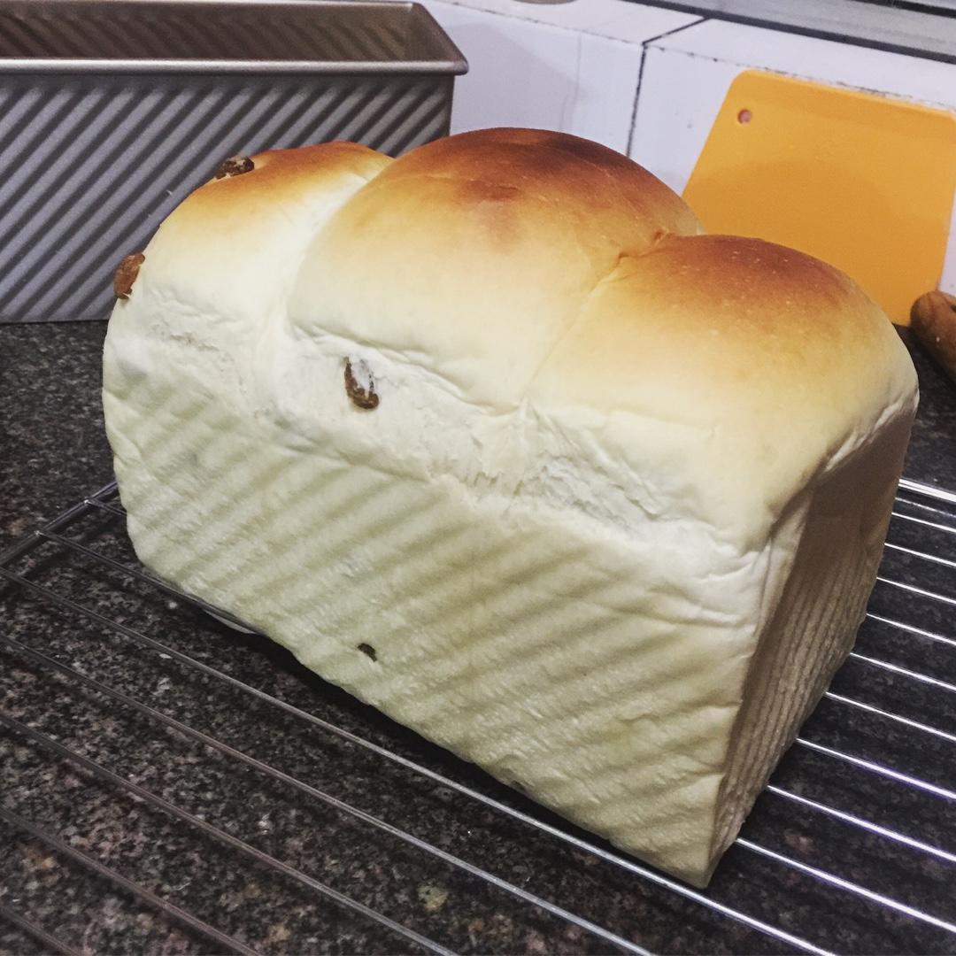 夺命软吐司(๑´ڡ`๑)超软拉丝极速方便的一次发酵吐司