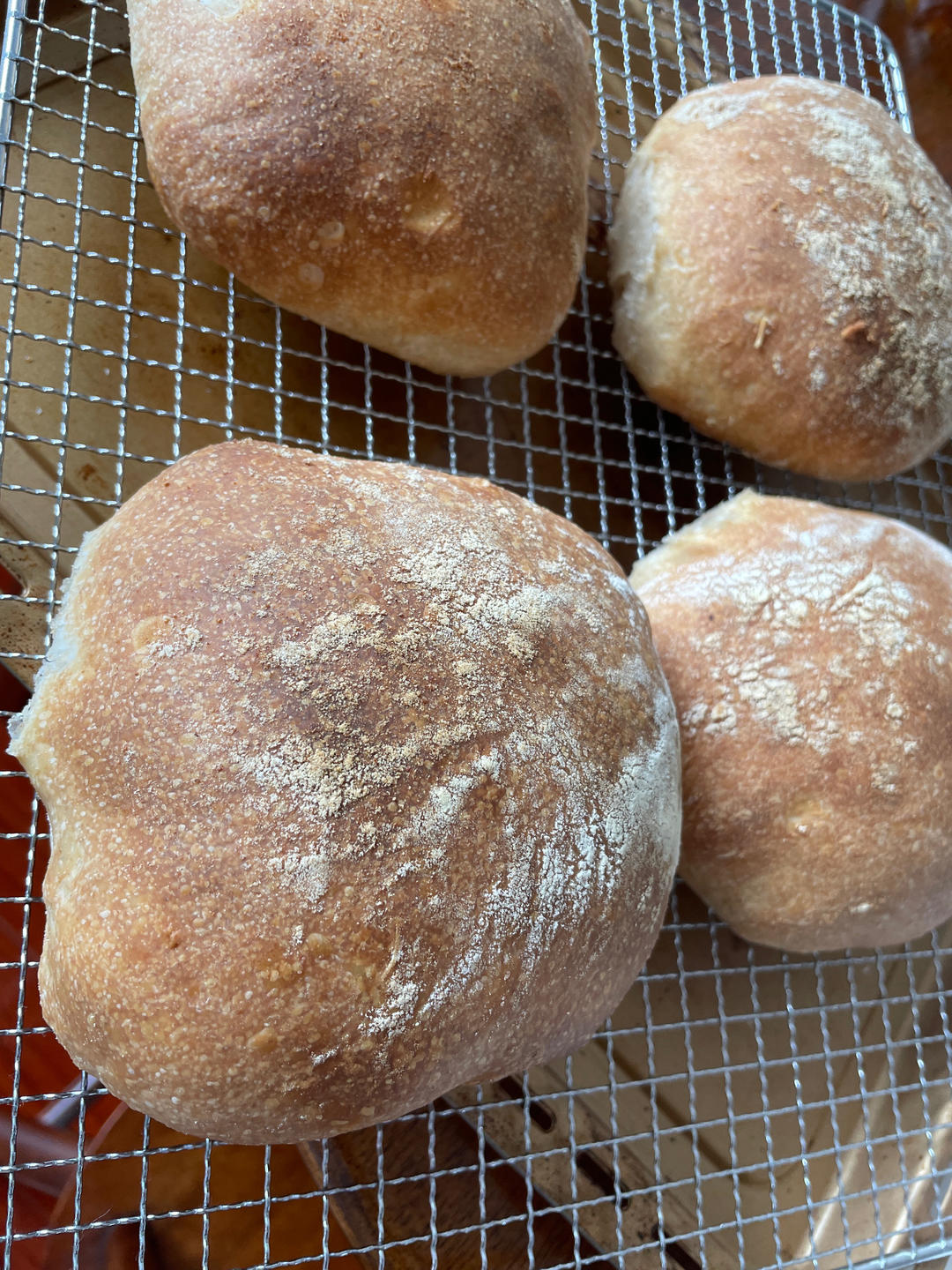 意大利夏巴塔Ciabatta