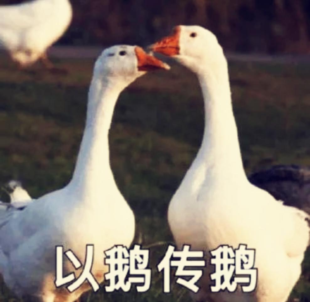 鹅滴厨房