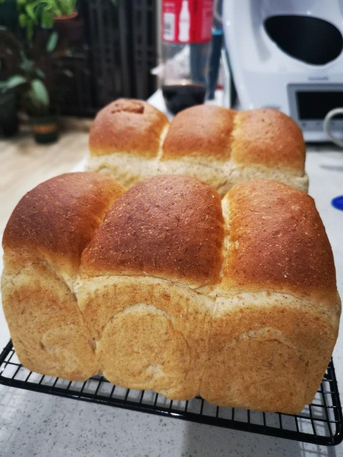 减肥食谱8⃣️波兰种全麦吐司