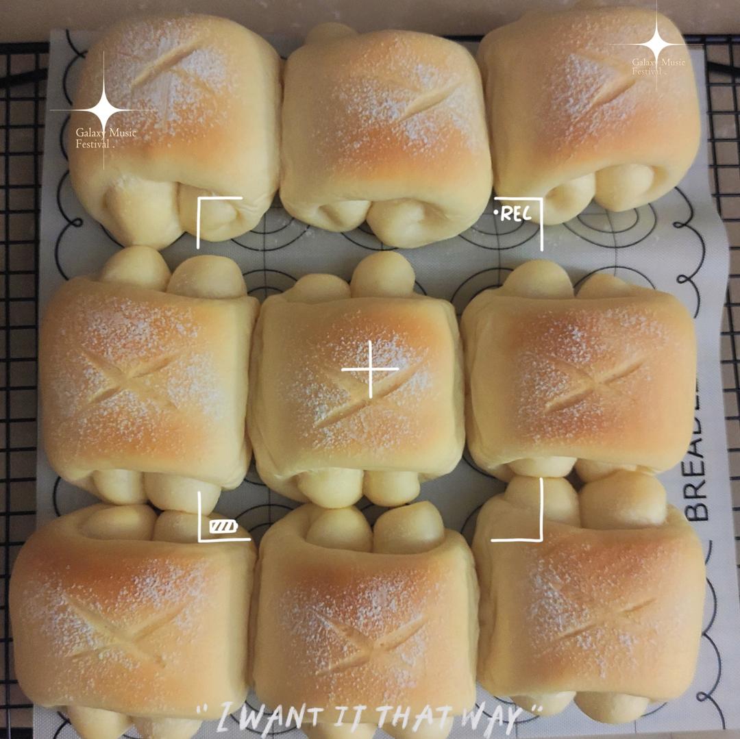 媲美汤种中种无需等待也是软妹子—优格（酸奶）卷卷