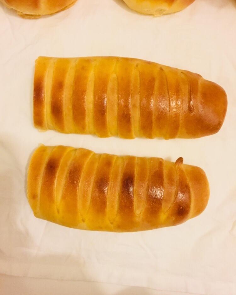 白白胖胖的毛毛虫！