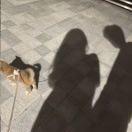 微信用户_qft4_k5bt