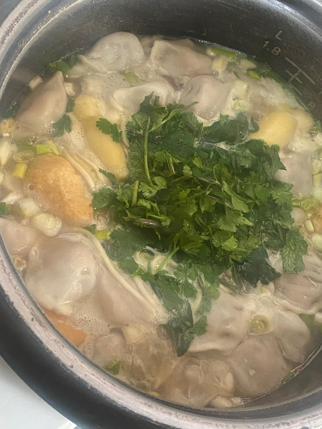 快手酸汤水饺（十分钟搞定）
