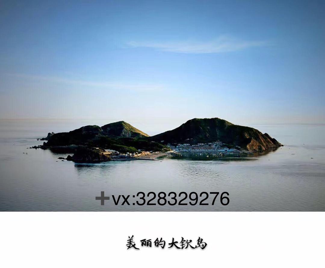 野生海参攻略