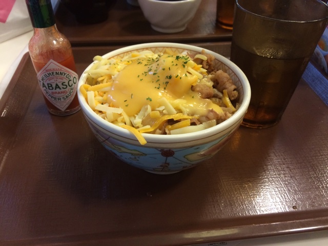 纪录日本一年的生活(((o(*ﾟ▽ﾟ*)o)))