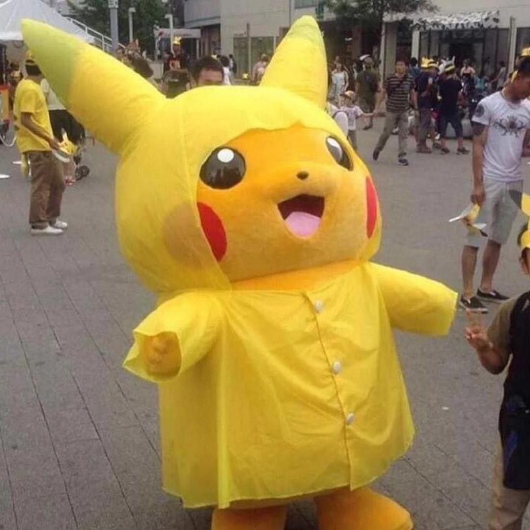 爱驰爱研究的皮卡丘