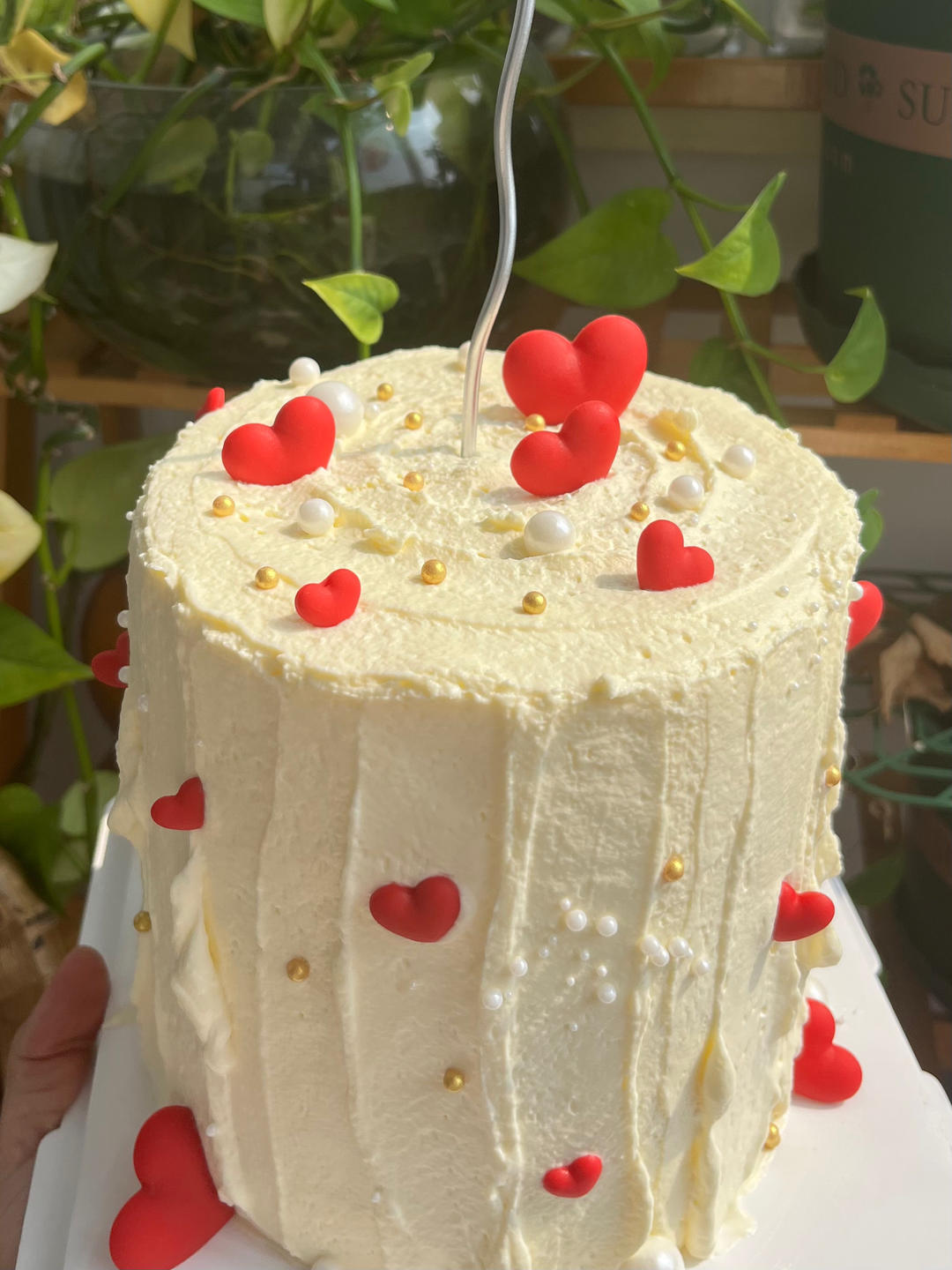 生日蛋糕6寸加高