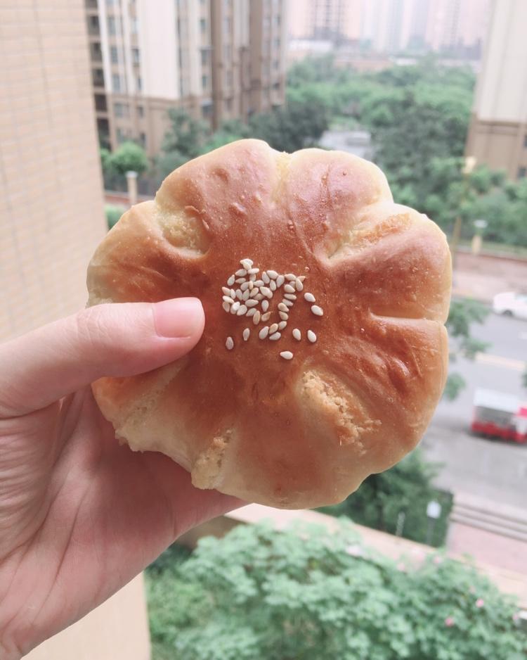 豆沙面包（中种）
