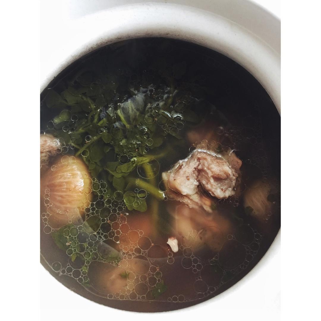 西洋菜排骨汤