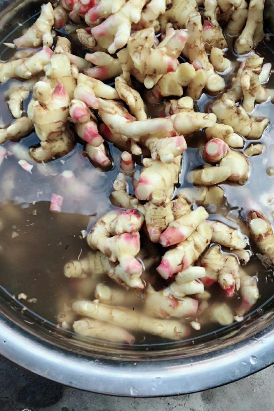 作品 rh8277做的姜 赞 17 赞 0 回应        你需要才能回应