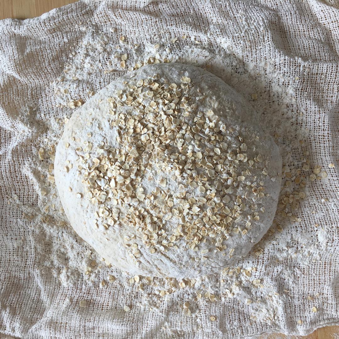 欧包/乡村面包-无油不用揉 No Knead Bread