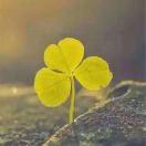 微信用户_HaIQ_61v0