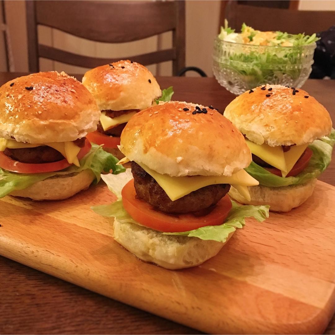 汉堡胚（中种法）