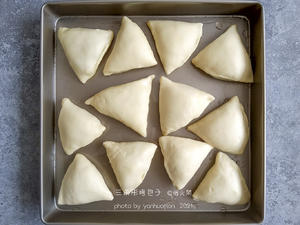 🔥三角形的烤包子｜浓浓异域风味特色小吃的做法 步骤7