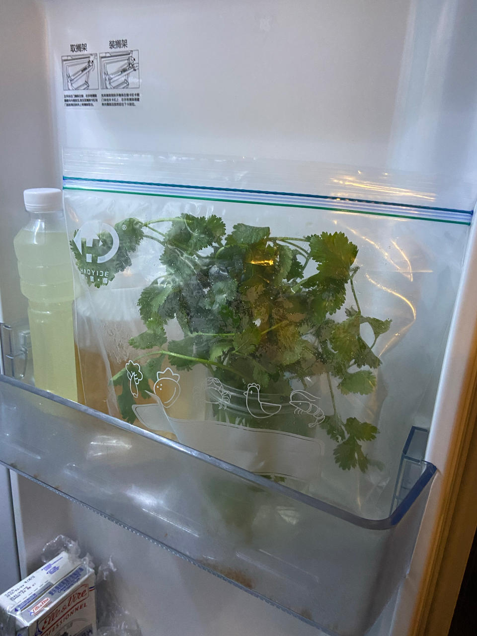 香菜保存方法：放冰箱养