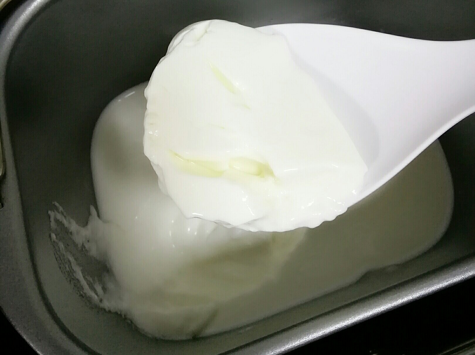 老酸奶（面包机版）