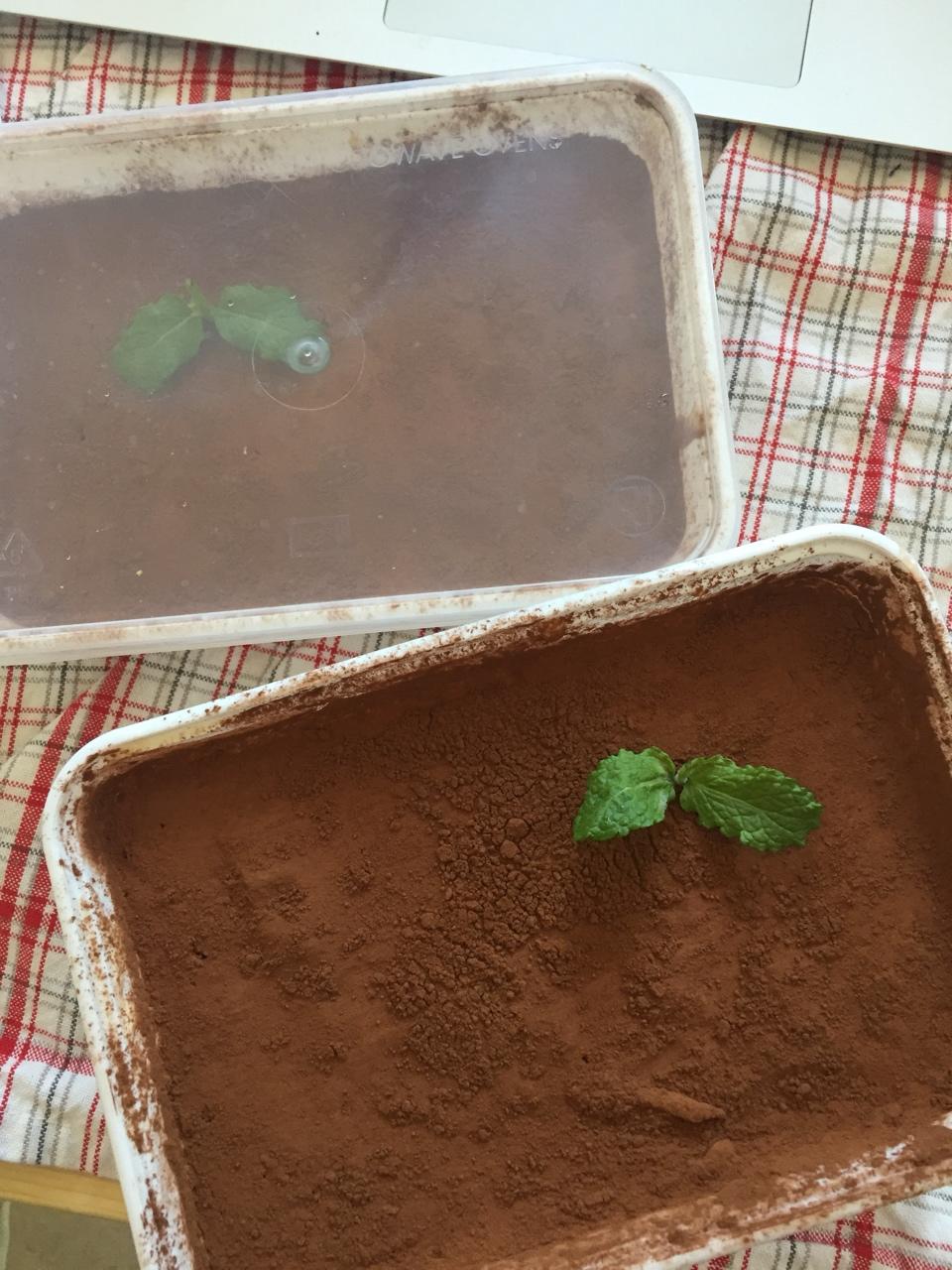 提拉米苏（意大利米兰厨师教的正宗版，不用烤箱）
Italian Tiramsu (original Milan recipe, 