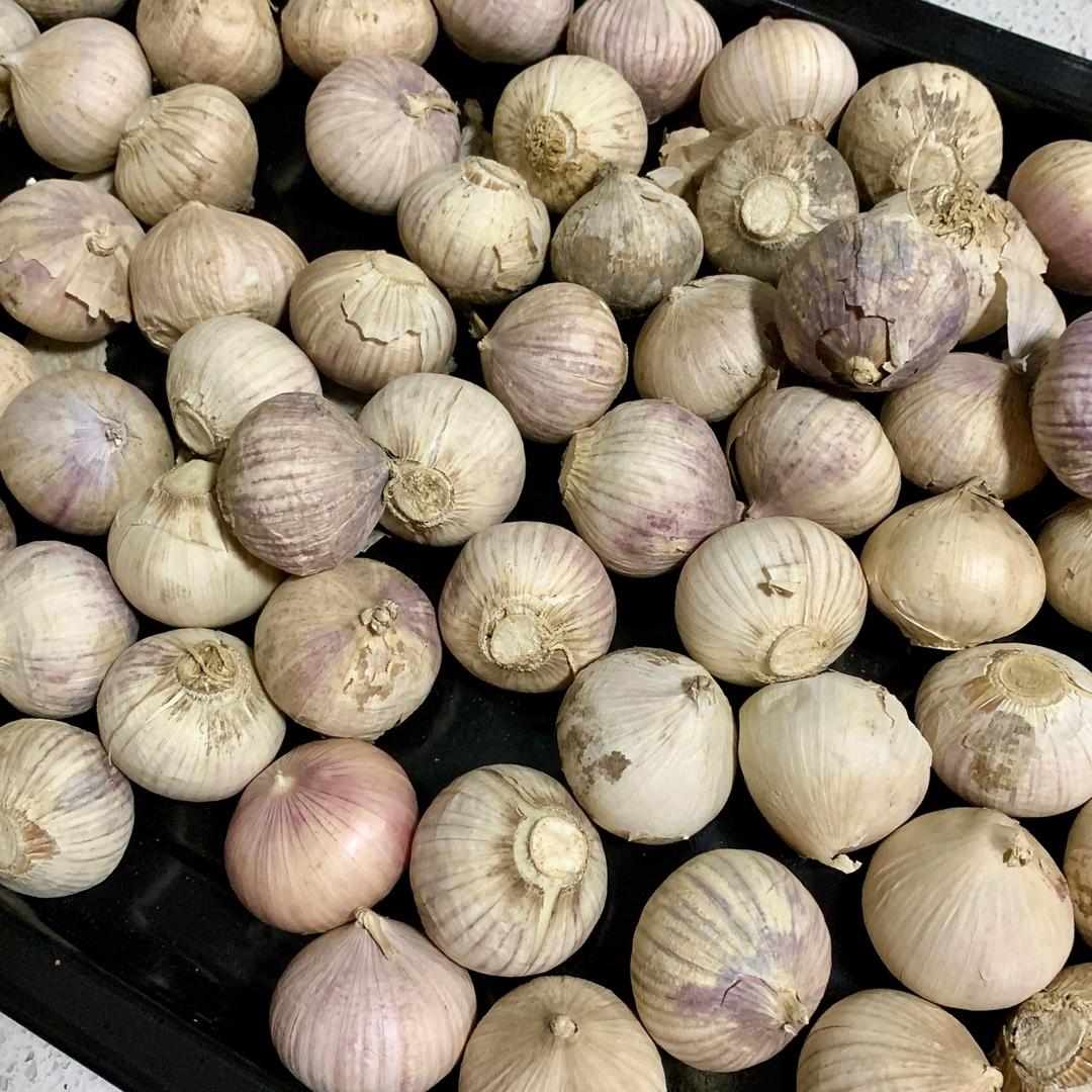 窍门：新鲜大蒜的保存方法🧄