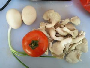 西红柿鸡蛋平菇粥的做法 步骤2