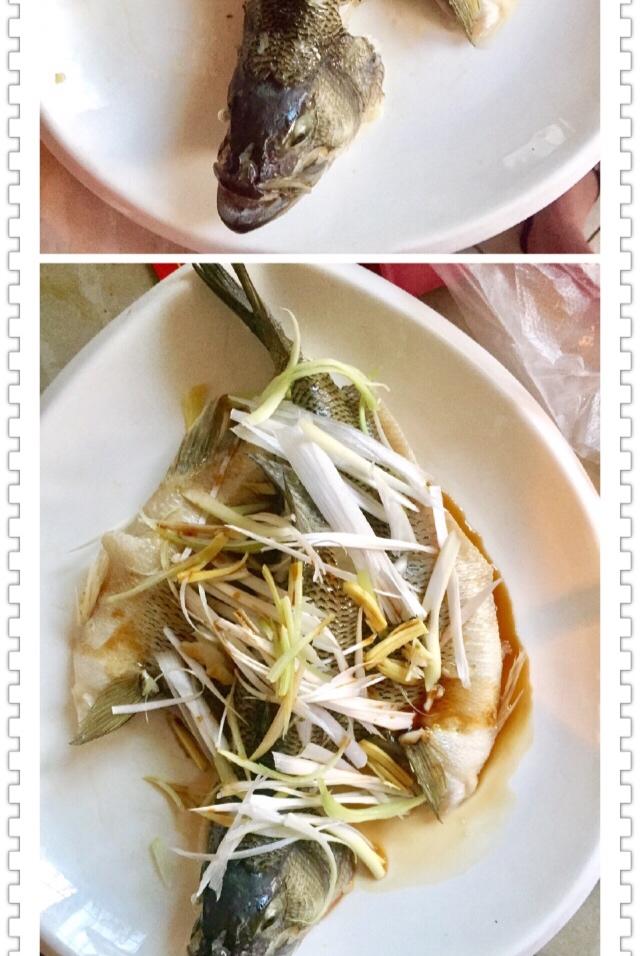 超入味清蒸鱼～清蒸鲈鱼桂花鱼（家常独创）