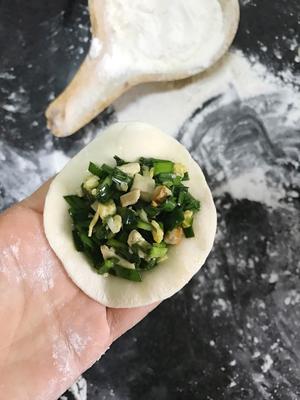 韭菜豆腐鸡蛋饺子的做法 步骤11