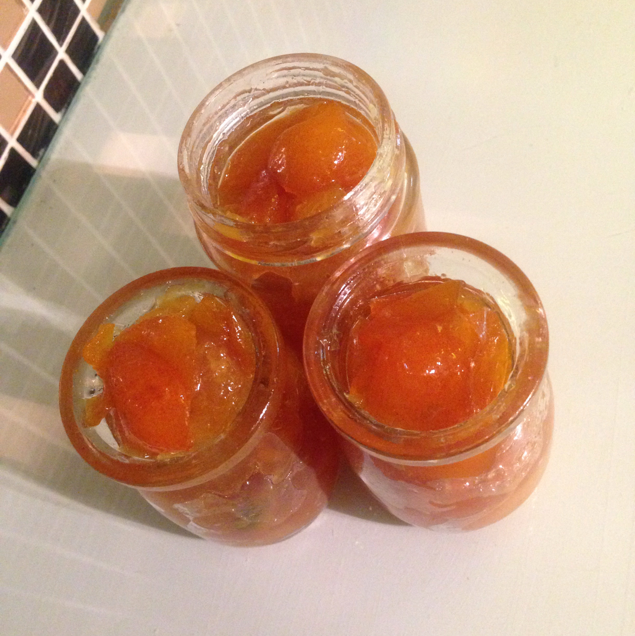 蜜渍金桔酱 奶奶的秘方