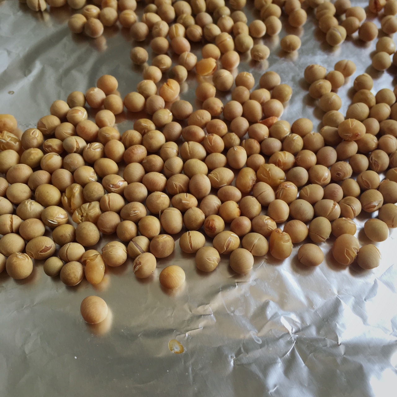 香烤黄豆（无油香脆小零嘴）